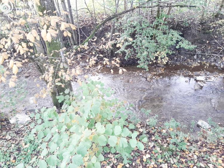 Prodej ubytovacího zařízení Staškov,Slovensko č. 32