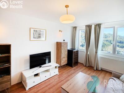 Sale apartment 2+1 Špindlerův Mlýn č. 13