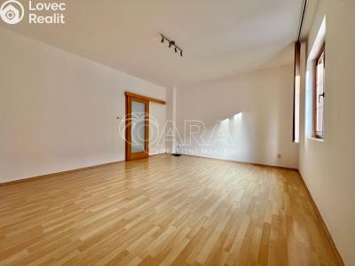 Pronájem bytu 2+KK Frýdek-Místek, Stanislava Kostky Neumanna 1641 č. 3