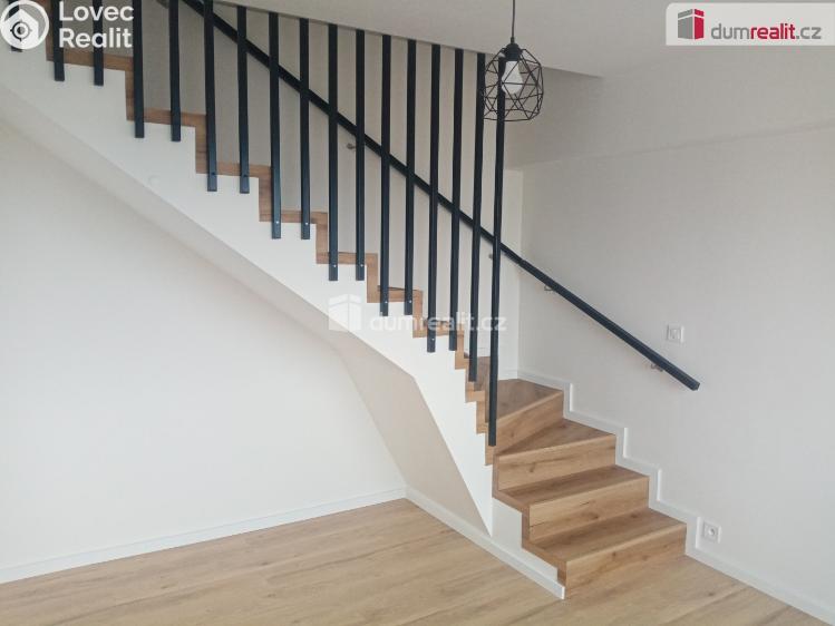 Pronájem bytu 3+1 Děčín, Zelená č. 3