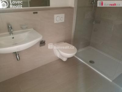 Pronájem bytu 3+1 Děčín, Zelená č. 4