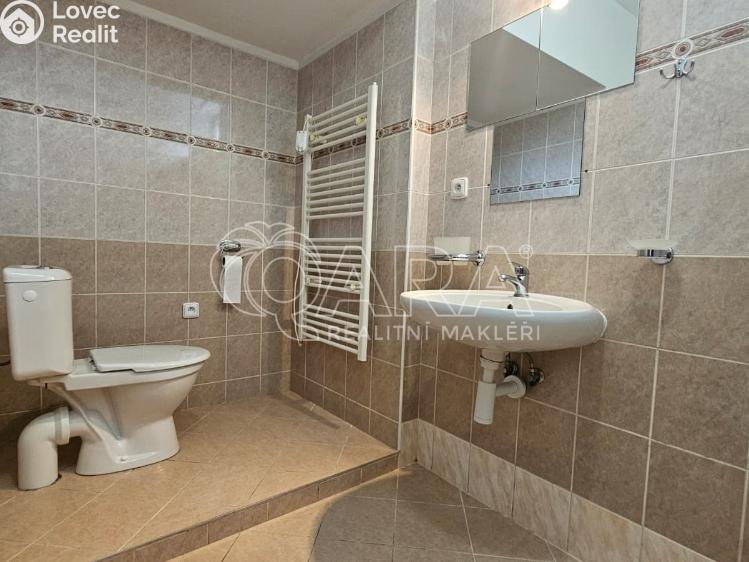 Rent apartment 1+1 Studenec č. 10