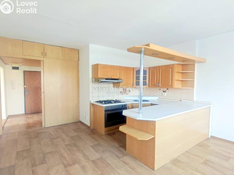 Pronájem bytu 2+1 Karlovy Vary, Krymská č. 1