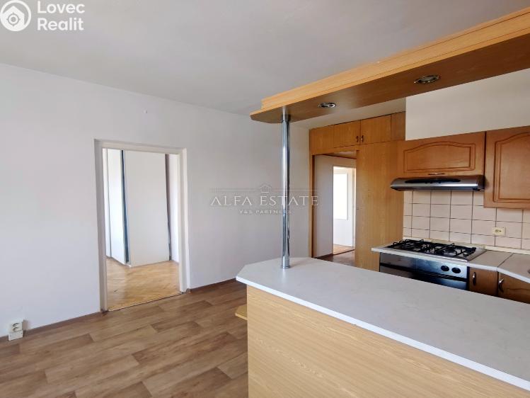 Pronájem bytu 2+1 Karlovy Vary, Krymská č. 5