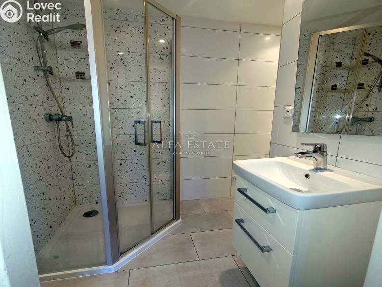 Pronájem bytu 2+1 Karlovy Vary, Krymská č. 12