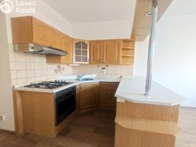 Pronájem bytu 2+1 Karlovy Vary, Krymská č. 3