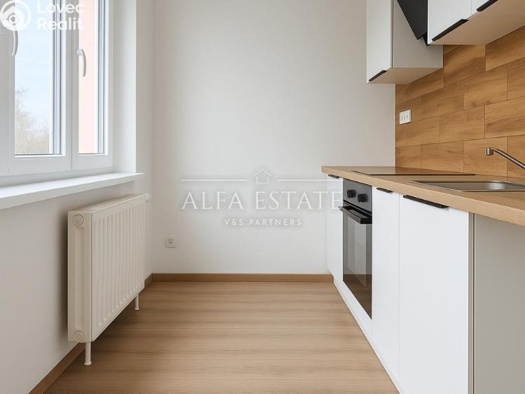 Аренда квартиры 1+1 Habartov, Mírová č. 2