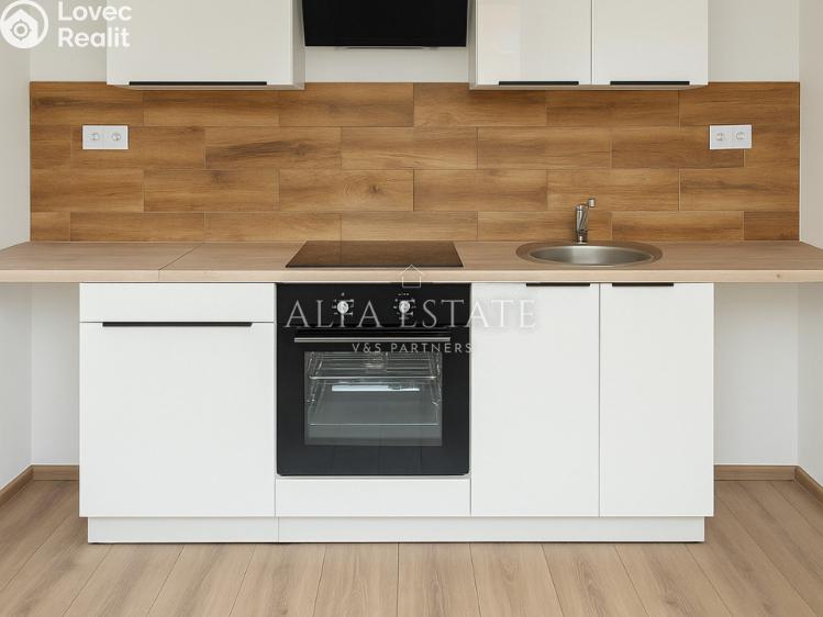 Rent apartment 1+1 Habartov, Mírová č. 4