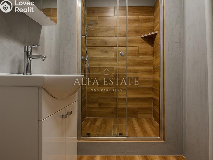 Rent apartment 1+1 Habartov, Mírová č. 6