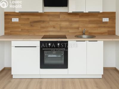 Rent apartment 1+1 Habartov, Mírová č. 3