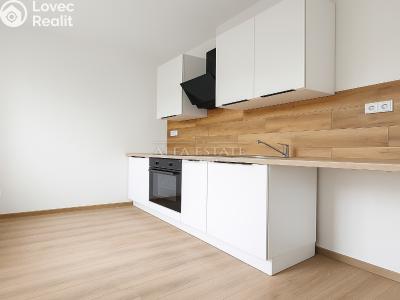 Rent apartment 1+1 Habartov, Mírová č. 1