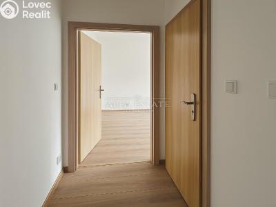 Rent apartment 1+1 Habartov, Mírová č. 5