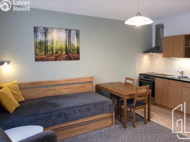 Rent apartment 1+KK Brno č. 1