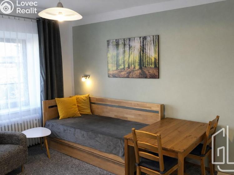 Rent apartment 1+KK Brno č. 4