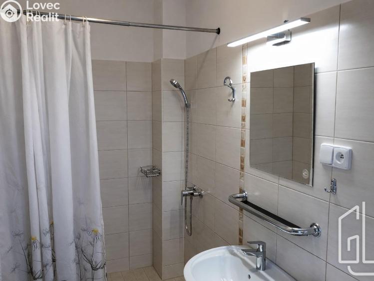 Rent apartment 1+KK Brno č. 5