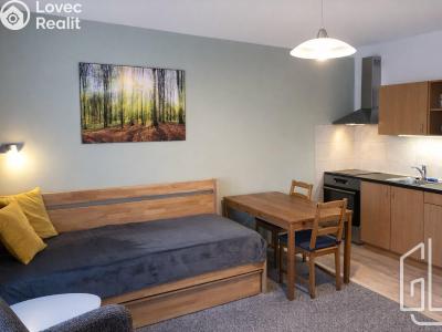 Аренда квартиры 1+KK Brno č. 1