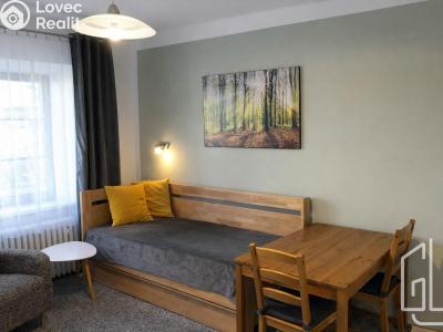 Аренда квартиры 1+KK Brno č. 4