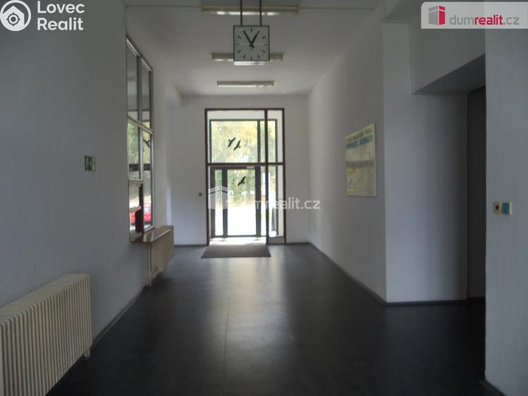 Pronájem komerční nemovitosti Staré Město, Na Zbytkách č. 11