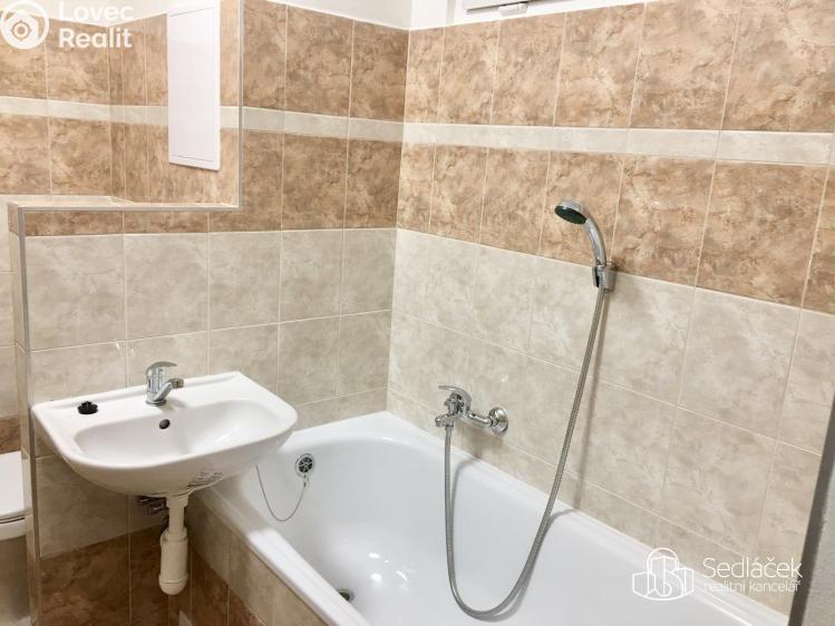 Rent apartment 1+1 Sokolov, Švabinského č. 9