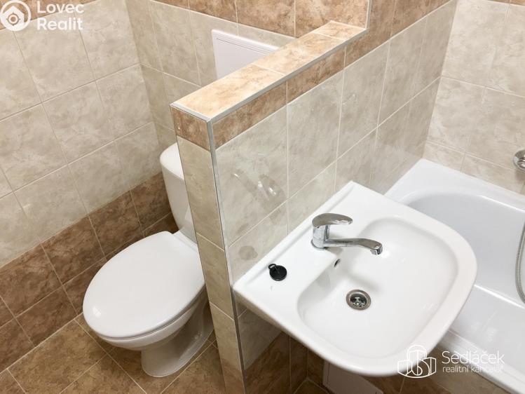 Rent apartment 1+1 Sokolov, Švabinského č. 10