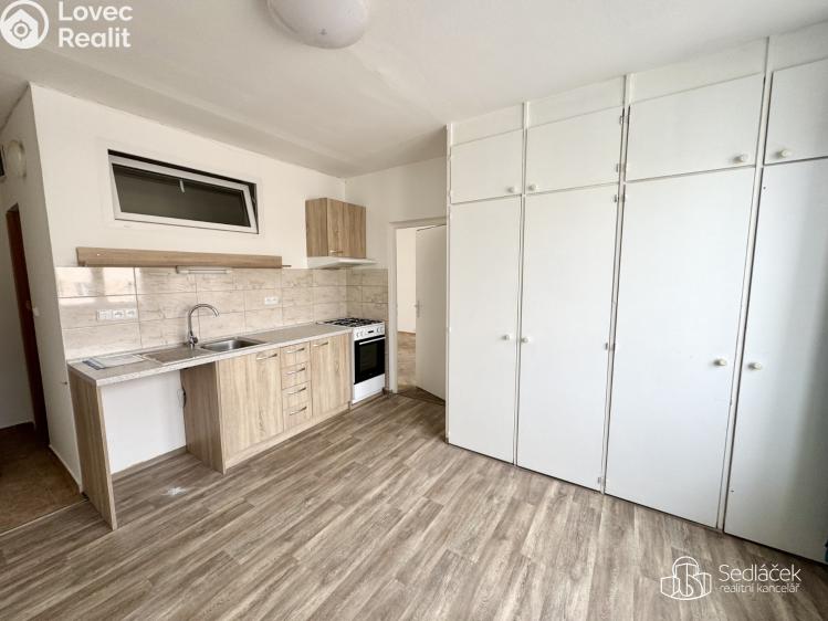 Rent apartment 1+1 Sokolov, Švabinského č. 1