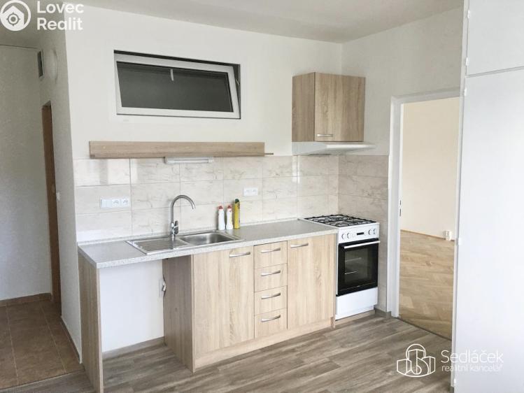 Rent apartment 1+1 Sokolov, Švabinského č. 3