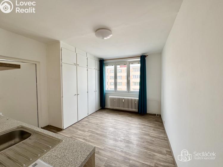 Rent apartment 1+1 Sokolov, Švabinského č. 6