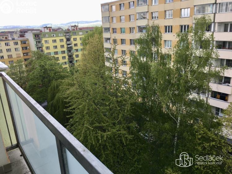 Rent apartment 1+1 Sokolov, Švabinského č. 7