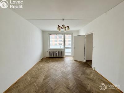 Rent apartment 1+1 Sokolov, Švabinského č. 2