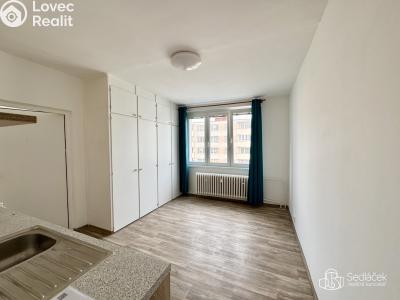 Rent apartment 1+1 Sokolov, Švabinského č. 6