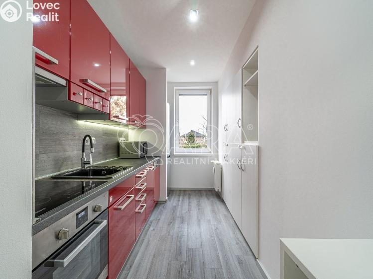 Pronájem bytu 3+1 Slaný, O. Scheinpflugové č. 15