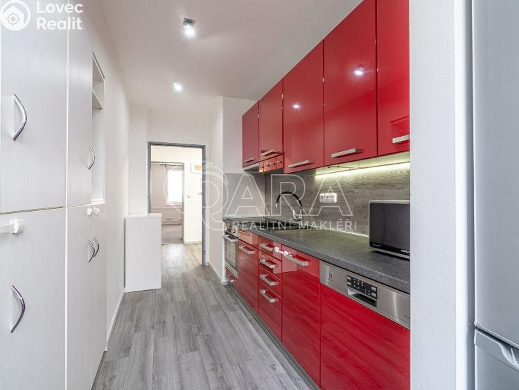 Pronájem bytu 3+1 Slaný, O. Scheinpflugové č. 17