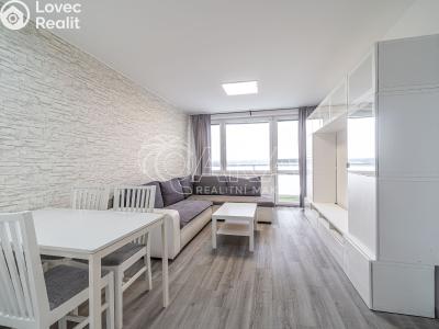 Pronájem bytu 3+1 Slaný, O. Scheinpflugové č. 3