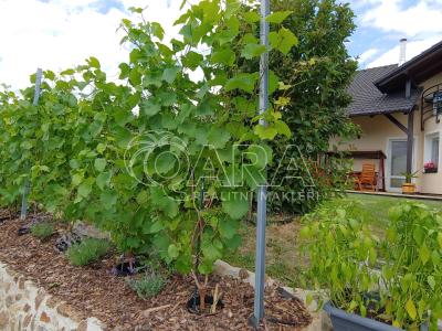 Prodej vícegeneračního domu Srubec č. 6