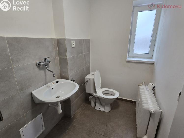 Rent apartment 1+1 Přerov, Purkyňova 2483/12 č. 8