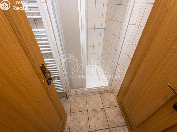 Pronájem obchodního prostoru Mladá Boleslav, Vodkova 135/1 č. 19