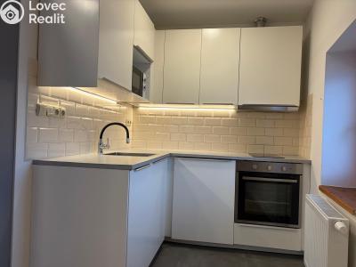 Pronájem bytu 1+KK Frýdlant, ČSA č. 2