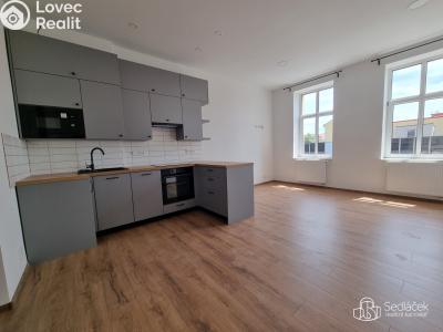 Pronájem bytu 2+KK Sokolov, Josefa Kajetána Tyla č. 1