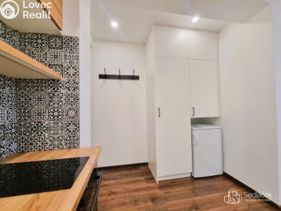 Pronájem bytu 1+KK Sokolov, Josefa Kajetána Tyla č. 2