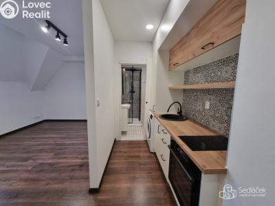 Pronájem bytu 1+KK Sokolov, Josefa Kajetána Tyla č. 3