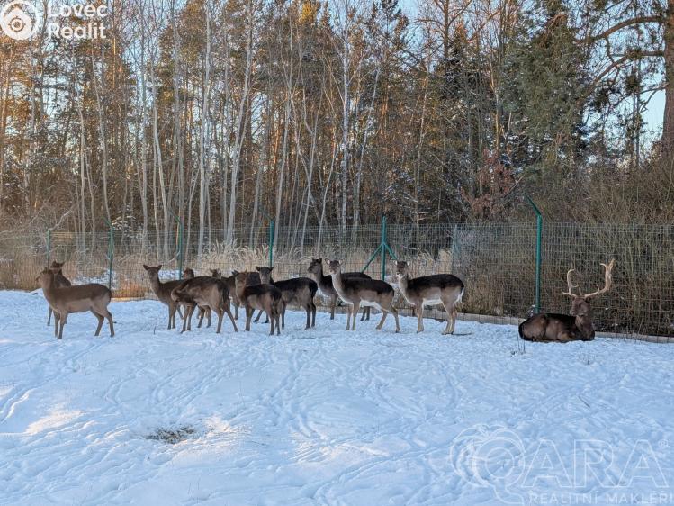 Prodej rodinného domu Stará Huť, Krásný život č. 25