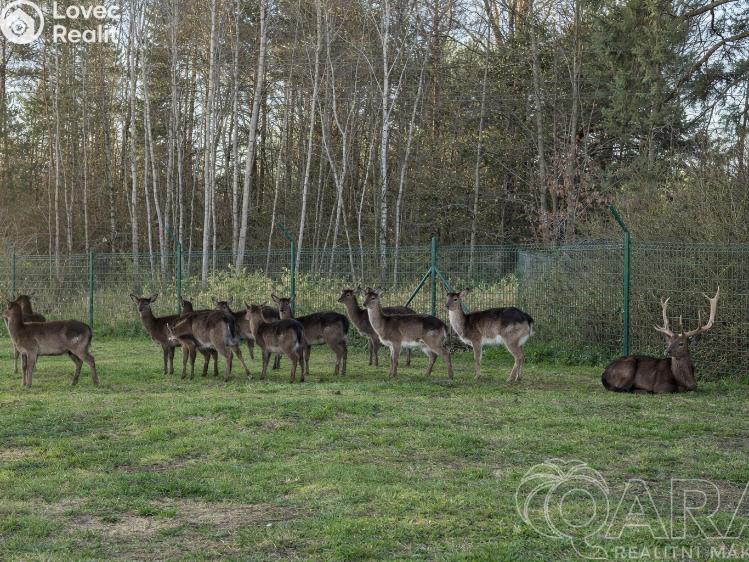 Продажа семейного дома Stará Huť, Krásný život č. 27