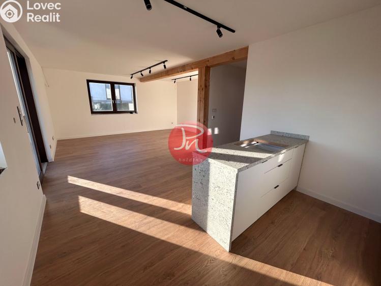 Rent family house Sedliště č. 13