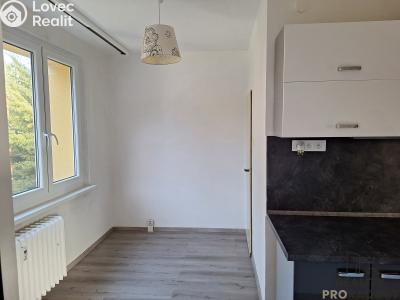 Pronájem bytu 3+1 Děčín, Slovanská č. 3