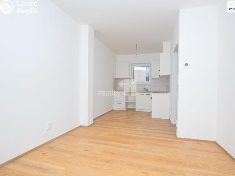 Pronájem bytu 1+KK Liberec, Londýnská č. 8