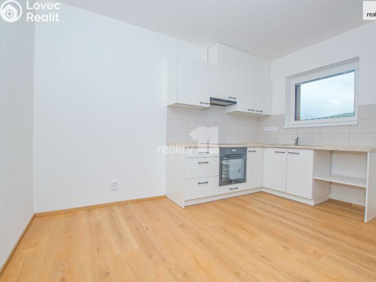 Pronájem bytu 1+KK Liberec, Londýnská č. 15