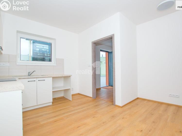 Pronájem bytu 1+KK Liberec, Londýnská č. 18