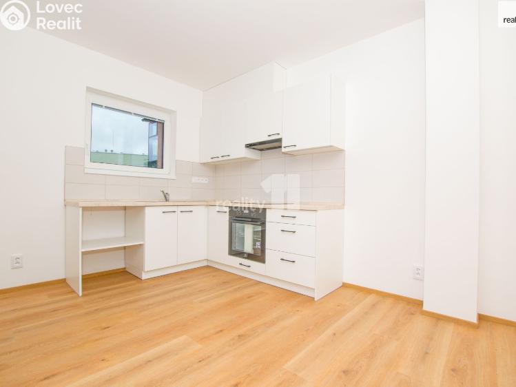 Pronájem bytu 1+KK Liberec, Londýnská č. 25