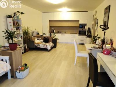 Prodej bytu 1+KK Jihlava, Halasova č. 1