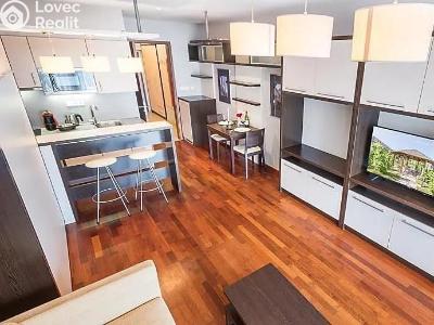 Аренда квартиры 1+KK Praha, Svatoplukova č. 1